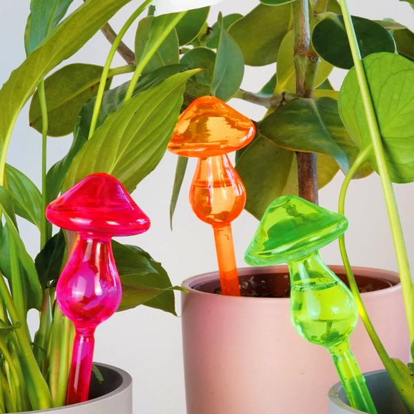 Mushroom Micro-Dousers Glass Houseplant Waterers