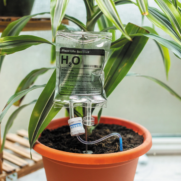 Plant Life Support Automatic Houseplant Waterer