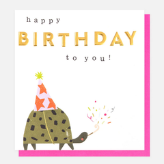 Happy Birthday To You! Tortoise Party Hat Card