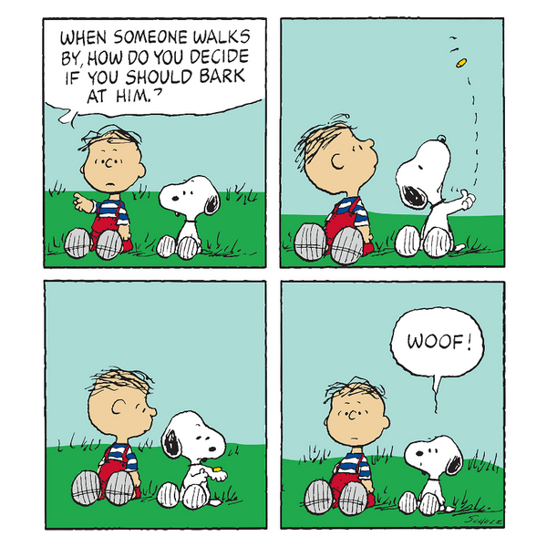Coin Flip Snoopy Card