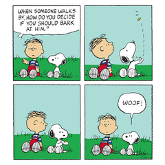 Coin Flip Snoopy Card