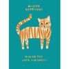 Cat's Whiskers Card