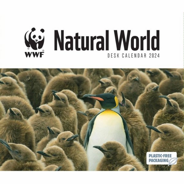 WWF Natural World Desk Calendar 2024 Paper Tiger