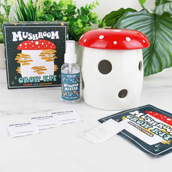 Mushroom Grow Kit Planter