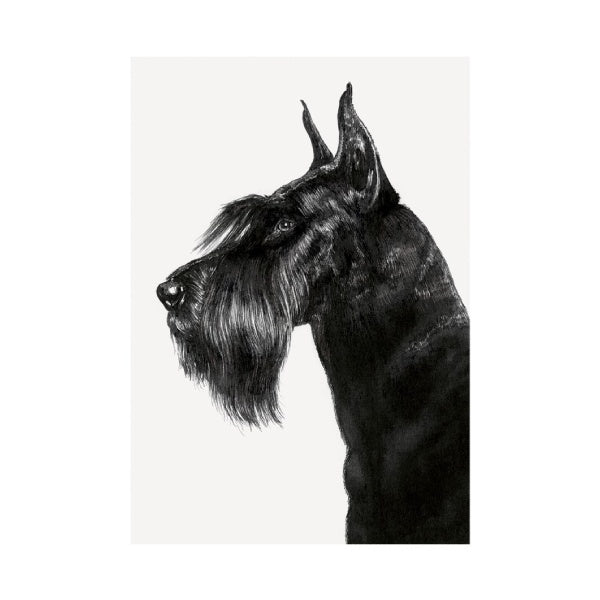 Ink and Shadow Schnauzer Card