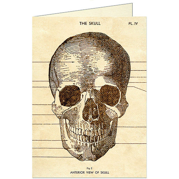 Blank card - Skull