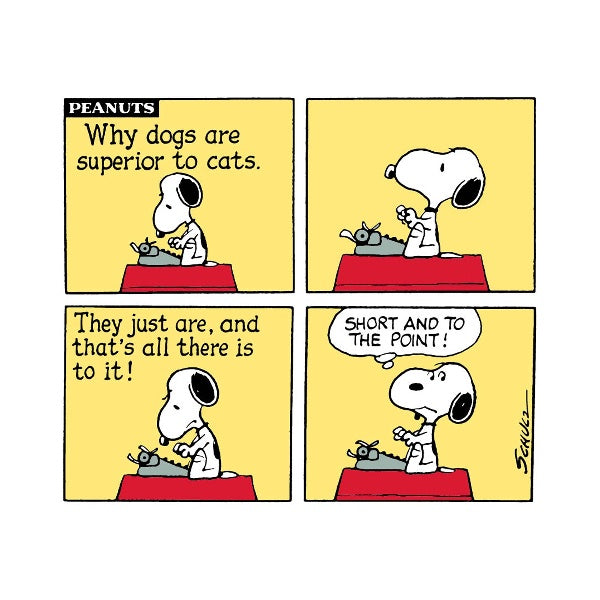Superior Square Snoopy Card