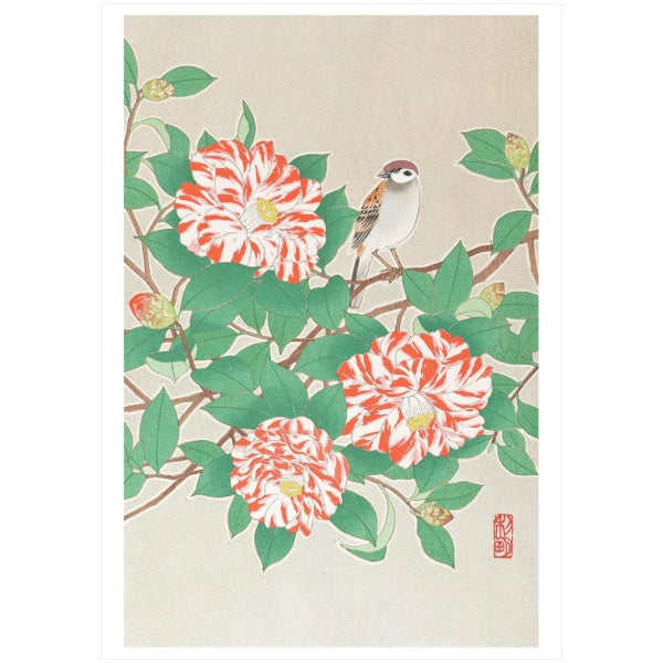 Sparrow on Red and White Camellia Card