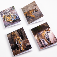 Paper Tiger SAVE THE TIGER 4PK Cards