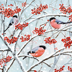 Animals and Winter Berries Box of 20 Christmas Cards