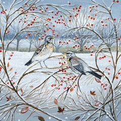 Animals and Winter Berries Box of 20 Christmas Cards