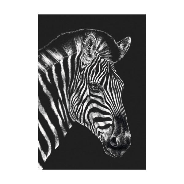 Ink and Shadow Zebra Card