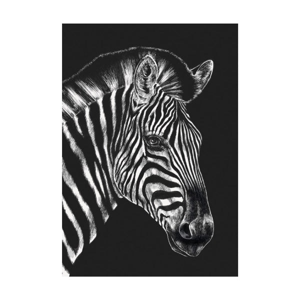 Zebra Ink Shadow Ink and Shadow Zebra Card - Paper Tiger